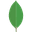 MongoDB logo