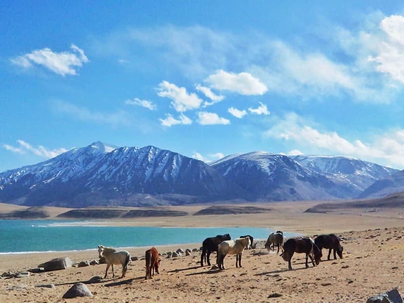 The Manali-Leh Odyssey gallery image 3
