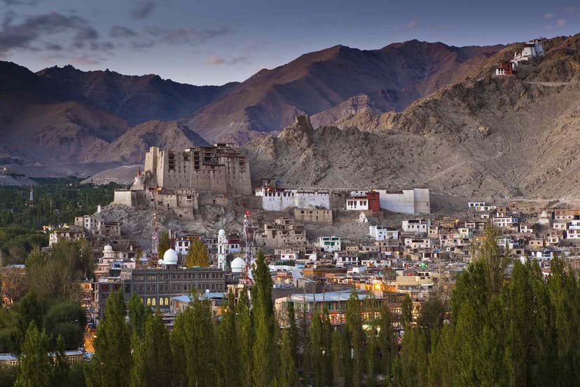 The Manali-Leh Odyssey gallery image 4