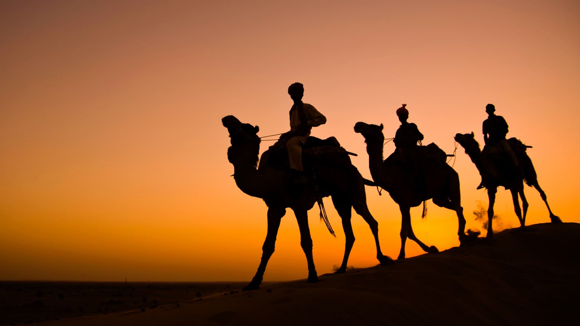 Weaving Through Rajasthan's Forts